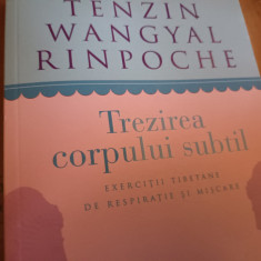 TREZIREA CORPULUI SUBTIL- EX. TIBETANE DE RESPIRAȚIE ȘI MIȘCARE T. W. RINPOCHE