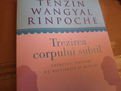 TREZIREA CORPULUI SUBTIL- EX. TIBETANE DE RESPIRAȚIE ȘI MIȘCARE T. W. RINPOCHE foto