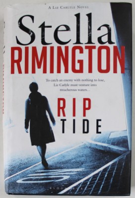 RIP TIDE by STELLA RIMINGTON , 2011, PREZINTA URME DE UZURA SI DE INDOIRE , HALOURI DE APA foto