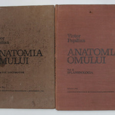 ANATOMIA OMULUI-VICTOR PAPILIAN 2 VOL