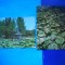 HOPCT LOT 2596 LACUL CU NUFERI BAILE FELIX -JUD BIHOR-2 CARTI POSTALE-CIRCULATE