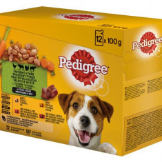 Pedigree pliculeț cu pui în sos 12 x 100g