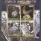 Rwanda 2009 Birds, Owls, Bats, perf.sheetlet, used T.024