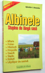 Albinele - Stupina de langa casa foto