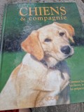 Chiens &amp; compagnie. Comment les choisir, les &eacute;lever, les soigner, les pr&eacute;parer aux concours