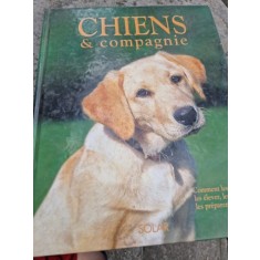 Chiens &amp; compagnie. Comment les choisir, les &eacute;lever, les soigner, les pr&eacute;parer aux concours