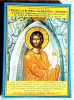 Predici Calendar Ortodox - Diacon Gheorghe Babut - 860 Pagini - Carte Crestinism