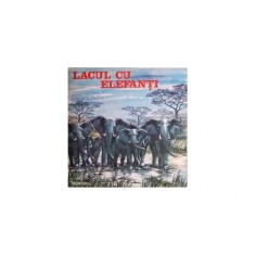 Disc vinil Mihai Tican Rumano ? Lacul Cu Elefan?i foto