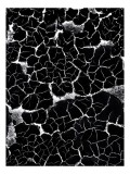 Tablou Canvas, "Căut&acirc;nd apa &icirc;n deșertul &icirc;ntunecat", Crăpături, Textură, Abstracție, Contraste, Monocrom, Impresionant, Fragilitate, Descompunere, Este
