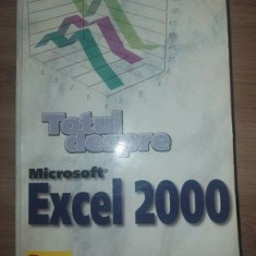 Totul despre Microsoft Excel 2000