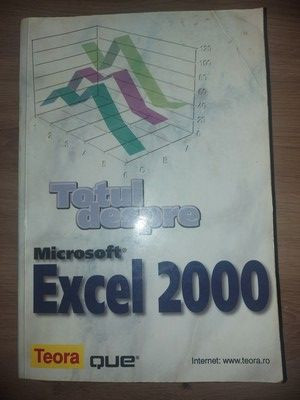 Totul despre Microsoft Excel 2000 foto