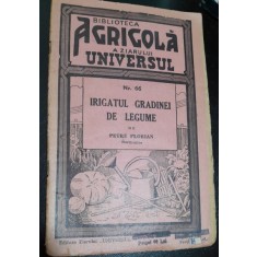Irigatul gradinii de legume - Petre Florian