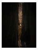 Tablou Canvas, "Căprioara &icirc;n lumina pădurii &icirc;ntunecate", Apropiere, Mister, Lumină, Natură, Pădure, Căprioară, Privire, Taină, 26 x 39 cm, CMCLASS