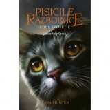 Pisicile Razboinice - Noua profetie. Cartea a VIII-a: Rasarit de Luna, Erin Hunter