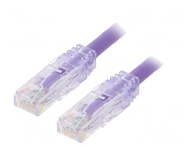 Patch Cord UTP Cat6 LSZH Violet 0.5m