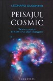 Cumpara ieftin Peisajul cosmic. Teoria corzilor si iluzia unui plan inteligent - 2012 - Leonard Susskind (XD254)