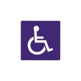 Abtibild &quot;Persoane cu Dizabilitati&quot; Cod: YGT-08 Automotive TrustedCars, Oem