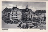 Oradea. Vulturul Negru (necirculata)