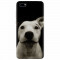 Husa silicon pentru Huawei Y5 2018, Funny Dog