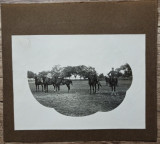 Militari romani calare, perioada interbelica// fotografie, Romania 1900 - 1950, Portrete