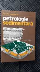 PETROLOGIE SEDIMENTARA - NICOLAE ANASTASIU , STARE FOARTE BUNA . foto