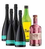 Party Box Marzza Pink Gin Spritz &ndash; Roz și fructat