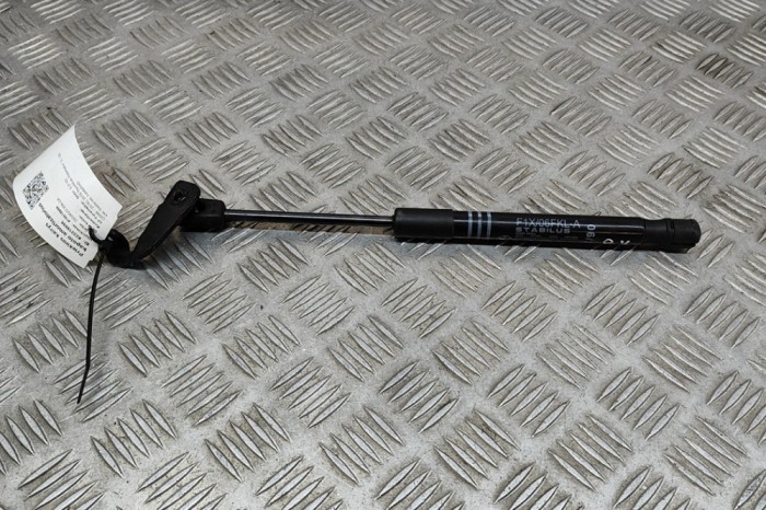 Amortizor capota st&acirc;nga față BMW 5 F10 2016 OEM: 7309117 22218698