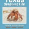 Texas Seashore Life Nature Activity Book: Games &amp; Activities for Young Nature Enthusiasts