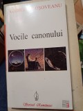 Gabriel Coșoveanu - Vocile canonului