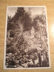QW24 C - Carte postala - tematica turism - vedere - Cluj Napoca 37 foto