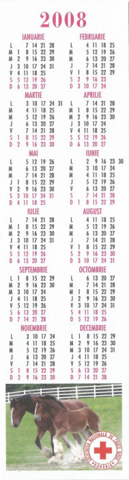 Romania, Societatea Nationala de Cruce Rosie, calendar orar, 2008