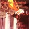 DE-ALE REVOLUTIEI - TEATRU-VIOREL SAVIN-277793