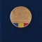 Insigna 100 ani ROMANIA