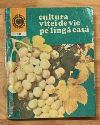 Cultura vitei de vie pe langa casa de Avram Tudosie Caleidoscop foto
