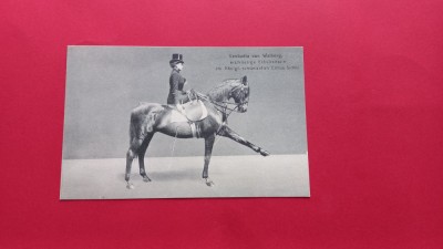 Bucuresti Bukarest Circ Circus Zirkus Cesar Sidoli Cirque Royal 1898 foto
