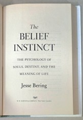 THE BELIEF INSTINCT , THE PSYCHOLOGY OF SOULS , DESTINY , AND THE MEANING OF LIFE by JESSE BERING , 2011
