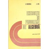 EXERCITII SI PROBLEME DE ALGEBRA PENTRU CLASELE IX-XII-C. NASTASESCU, M. BRANDIBURU, C. NITA, D. JOITA-307220
