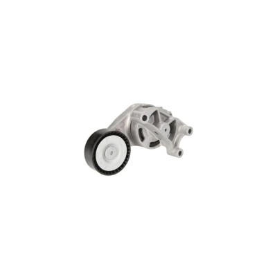 Intinzator curea VW EOS 1F7 1F8 DAYCO APV2530 foto