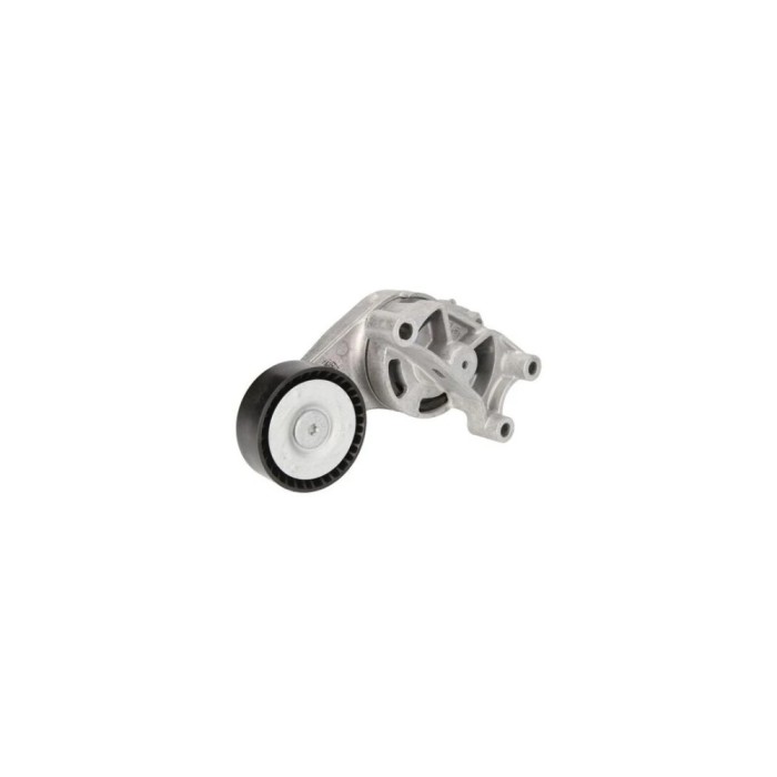 Intinzator curea VW EOS 1F7 1F8 DAYCO APV2530