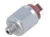 Presostat Presiune Relativă NO 1/8&quot; DS-4000-EU