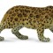 Figurina leopard de amur xl collecta