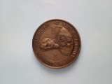 Alexandru Ioan Cuza ,Domnitorul Tarii Romanesti 1859-1866 .Medalie de bronz diametru 50 mm .Verso Muzeul Unirii Iasi 24 ianuarie 2007