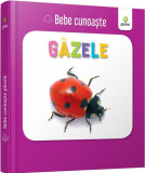 Gazele - Bebe cunoaste