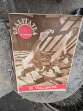 Realitatea ilustrată &icirc;n Vacanță - Anul VII Nr. 335 Iunie 1933