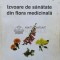 Izvoare de sanatate din flora medicinala - 2005 - Constantin I. Milica (#A35)
