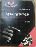 LITR12 0442 Literatura - Gheorghe Bratescu - Magi Blestemati