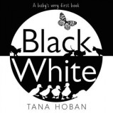 Carte pentru bebelusi Tana Hoban "Black White", imagini alb-negru contrastante, format mare cartonat