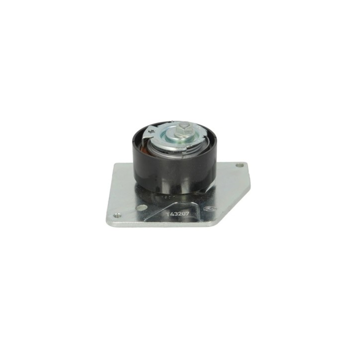 Rola Intinzator curea RENAULT MEGANE III hatchback BZ0 DAYCO ATB2567