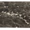 CPIB 23640 CARTE POSTALA - SOVATA, NECIRCULATA