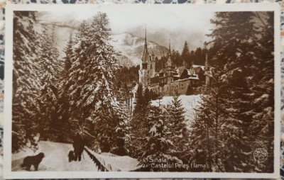 Sinaia, Castelul Peles (Iarna)// CP foto